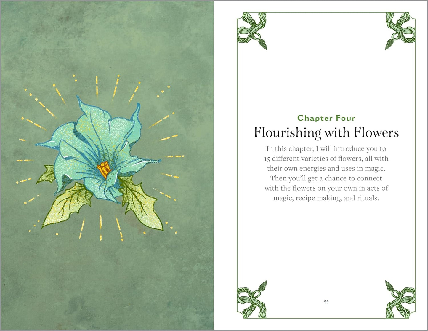 Green Witchcraft: A Practical Guide to Discovering the Magic of Plants, Herbs, Crystals, and Beyond